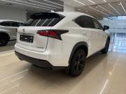 Lexus NX I Рестайлинг Челябинск  - изображение 25