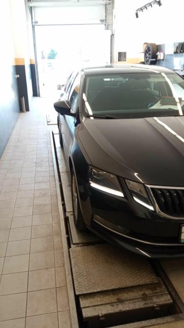 Skoda Octavia III (A7) Рестайлинг Санкт-Петербург  - изображение 1