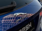 Jaguar F-Pace I Краснодар  - изображение 33