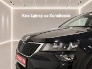 Skoda Karoq I Челябинск  - изображение 27