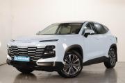 JETOUR DASHING I Челябинск  - изображение 20