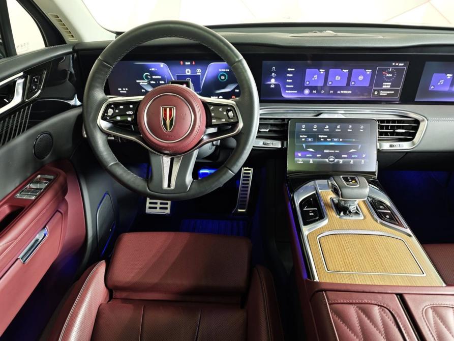 Hongqi E-HS9 Москва  - изображение 19