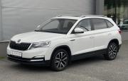 Skoda Kamiq I (China Market) Белгород  - изображение 28