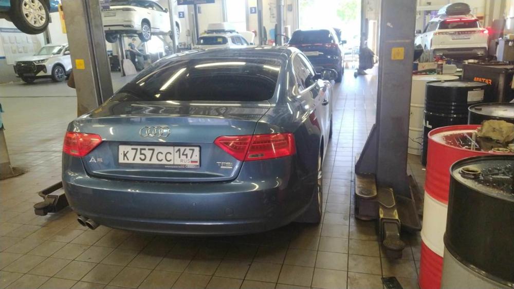 Audi A5 I (8T) Рестайлинг Санкт-Петербург  - изображение 3