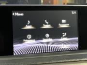 Lexus RX IV Рестайлинг Уфа  - изображение 39