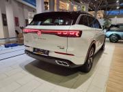 Volkswagen Tavendor I Москва  - изображение 19