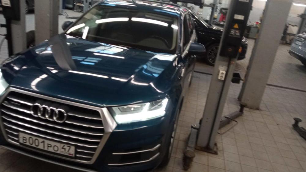 Audi Q7 II (4M) Санкт-Петербург  - изображение 1