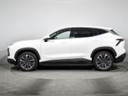 JETOUR Dashing I Санкт-Петербург  - изображение 29