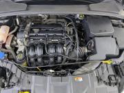 Ford Focus III Рестайлинг Москва  - изображение 37