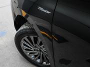 GAC Trumpchi M8 I Москва  - изображение 66