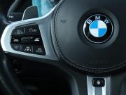 BMW X7 I (G07) Москва  - изображение 64