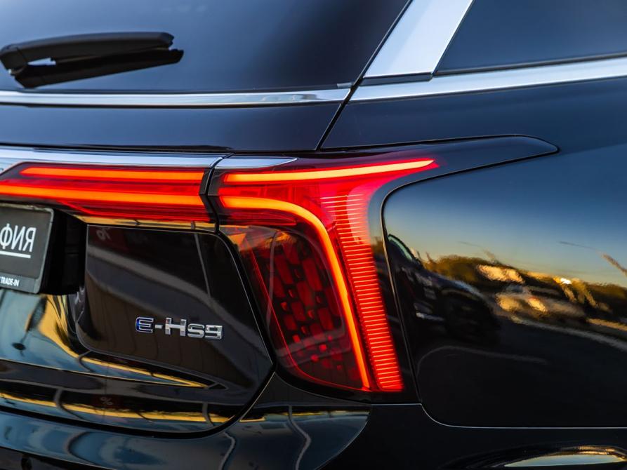 Hongqi E-HS9 Волгоград  - изображение 13