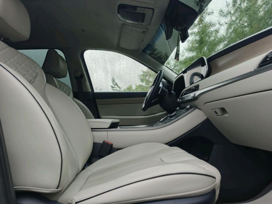 Hyundai Palisade I Санкт-Петербург  - изображение 29