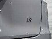 Li Auto (Lixiang) L9 I Рестайлинг Москва  - изображение 44