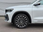 Geely Monjaro I Рестайлинг Воронеж  - изображение 30
