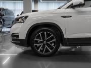 Skoda Kamiq I (China Market) Москва  - изображение 42