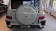 Tank 700 Саратов  - изображение 29