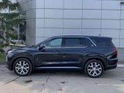 Hyundai Palisade I Москва  - изображение 41