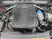 Audi A4 V (B9) Москва  - изображение 60