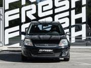 Ford Fiesta Mk5 Волгоград  - изображение 18