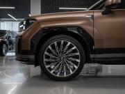 Hyundai Santa Fe V (MX5) Москва  - изображение 70