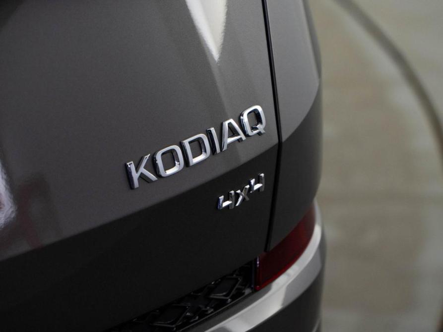 Skoda Kodiaq I Рестайлинг Москва  - изображение 6