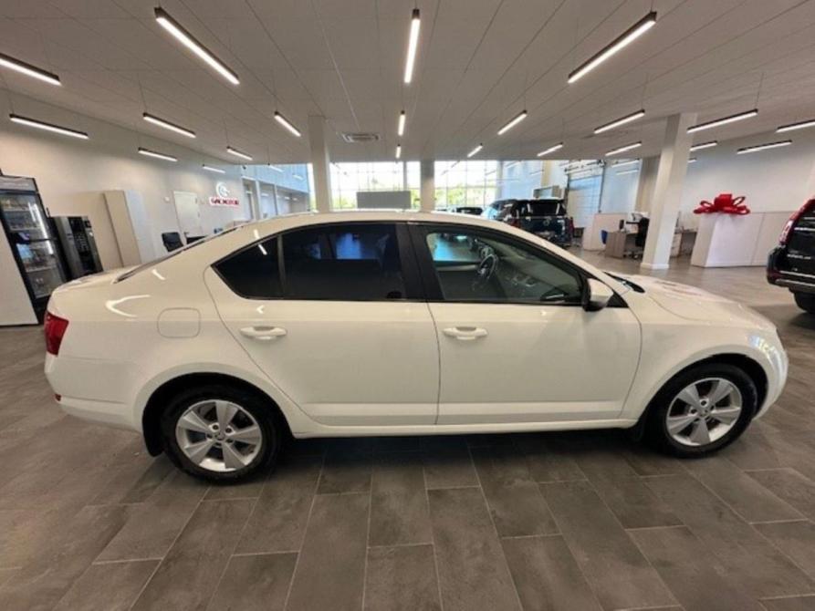 Skoda Octavia III (A7) Калуга  - изображение 4