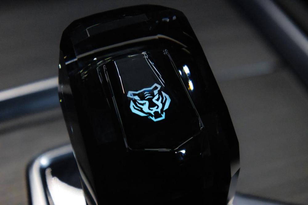 Chery Tiggo 7 Pro Max I Рестайлинг Тюмень  - изображение 29