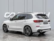 BMW X5 IV (G05/G18) Краснодар  - изображение 23
