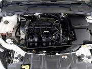 Ford Focus III Рестайлинг Москва  - изображение 36