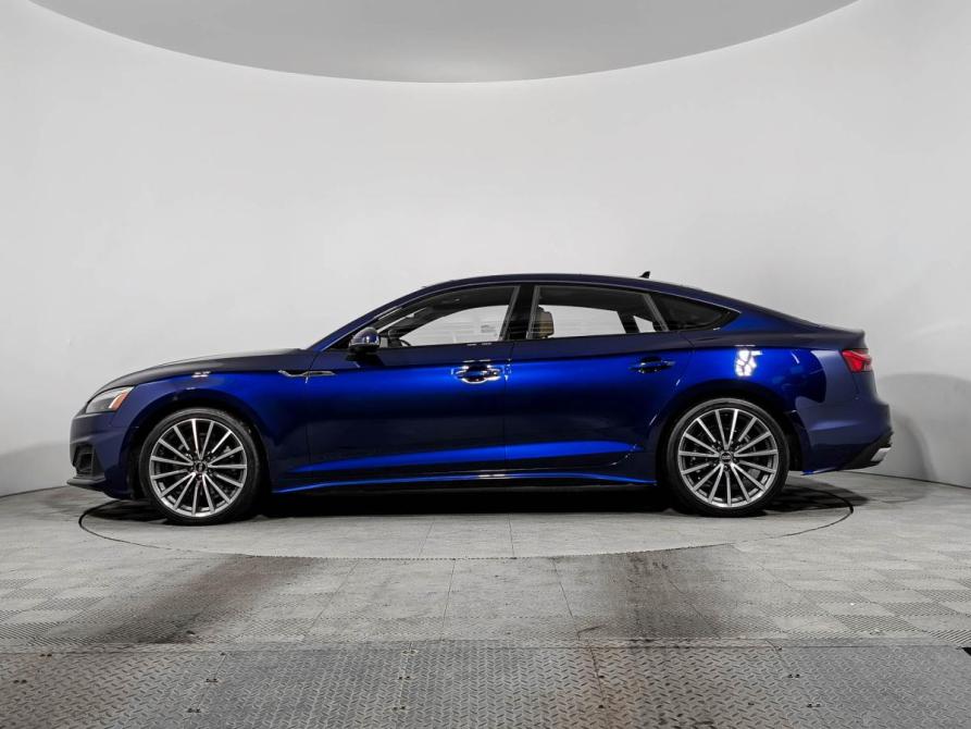 Audi A5 II (F5) Рестайлинг Санкт-Петербург  - изображение 8