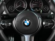 BMW 3 серии VI (F3x) Рестайлинг Ростов-на-Дону  - изображение 30