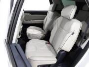 Hyundai Palisade I Рестайлинг Ростов-на-Дону  - изображение 33