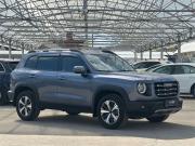 Haval Dargo Тула  - изображение 19