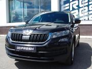 Skoda Kodiaq I Владимир  - изображение 46