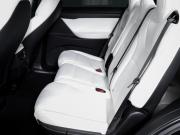 Tesla Model X I Москва  - изображение 33