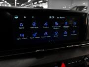 Kia Carnival IV Москва  - изображение 42
