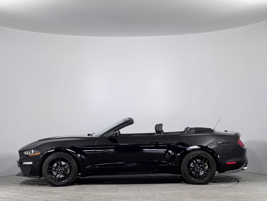 Ford Mustang VI Рестайлинг Калининград  - изображение 16