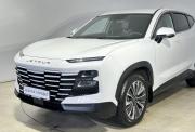 JETOUR DASHING I Саранск  - изображение 39