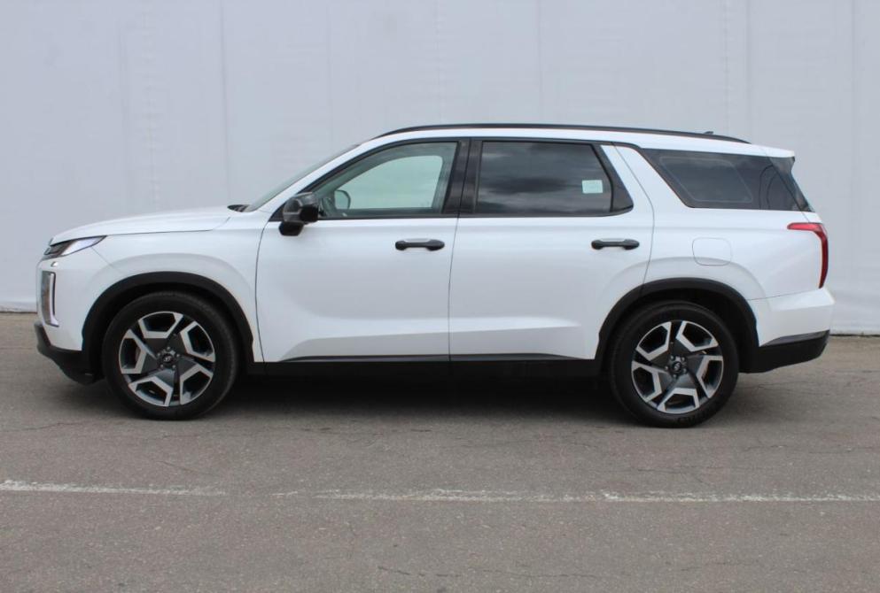 Hyundai Palisade I Рестайлинг Нижний Новгород  - изображение 8