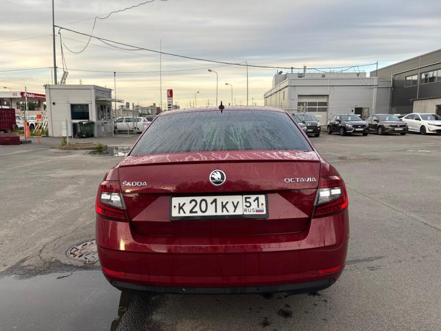 Skoda Octavia III (A7) Рестайлинг Санкт-Петербург  - изображение 6