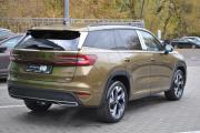 Skoda Kodiaq II Москва  - изображение 31