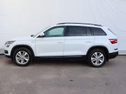 Skoda Kodiaq I Москва  - изображение 32