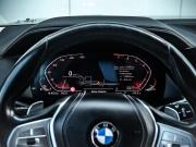 BMW X7 I (G07) Магнитогорск  - изображение 48