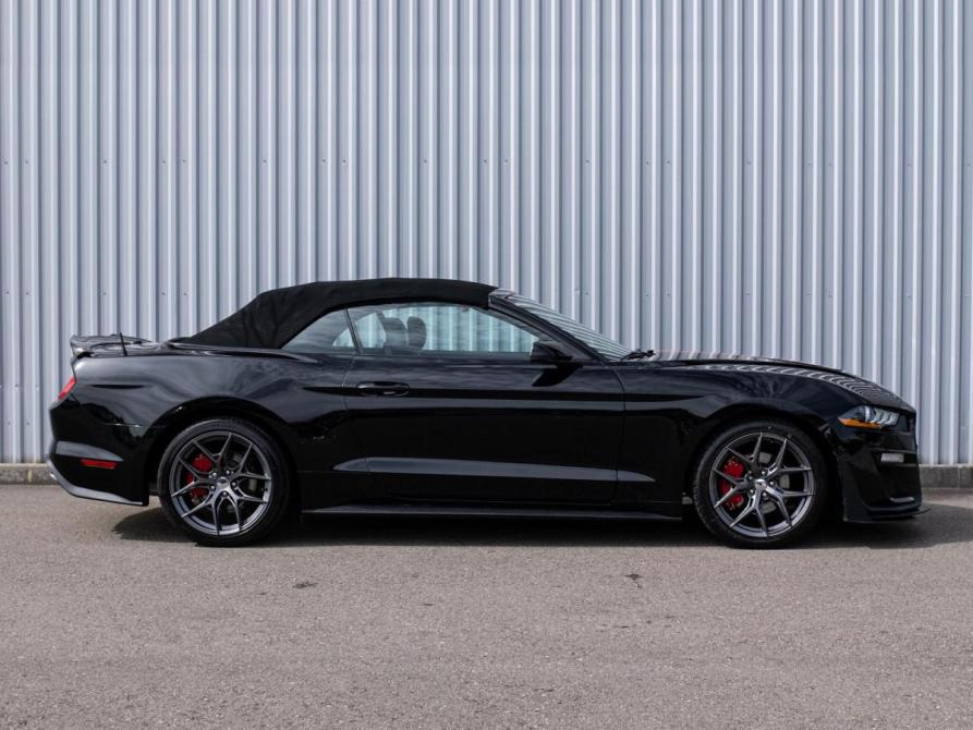 Ford Mustang VI Рестайлинг Сочи  - изображение 5