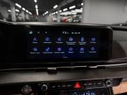Kia Carnival IV Москва  - изображение 50