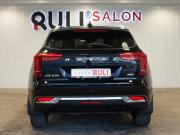 Haval Jolion I Иваново  - изображение 42