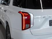 Hyundai Palisade I Рестайлинг Москва  - изображение 62