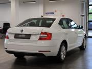Skoda Octavia III (A7) Рестайлинг Калуга  - изображение 16