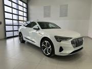 Audi e-tron I Владимир  - изображение 25